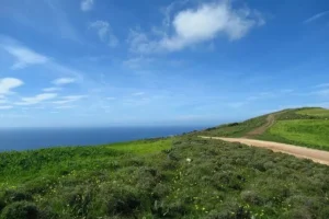 Unpaved dirt road leading to the Adonis Waterfalls from Coral Bay